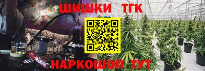МДПВ Гусев
